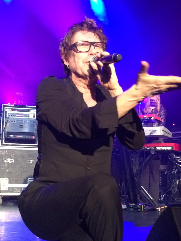 psychedelic furs